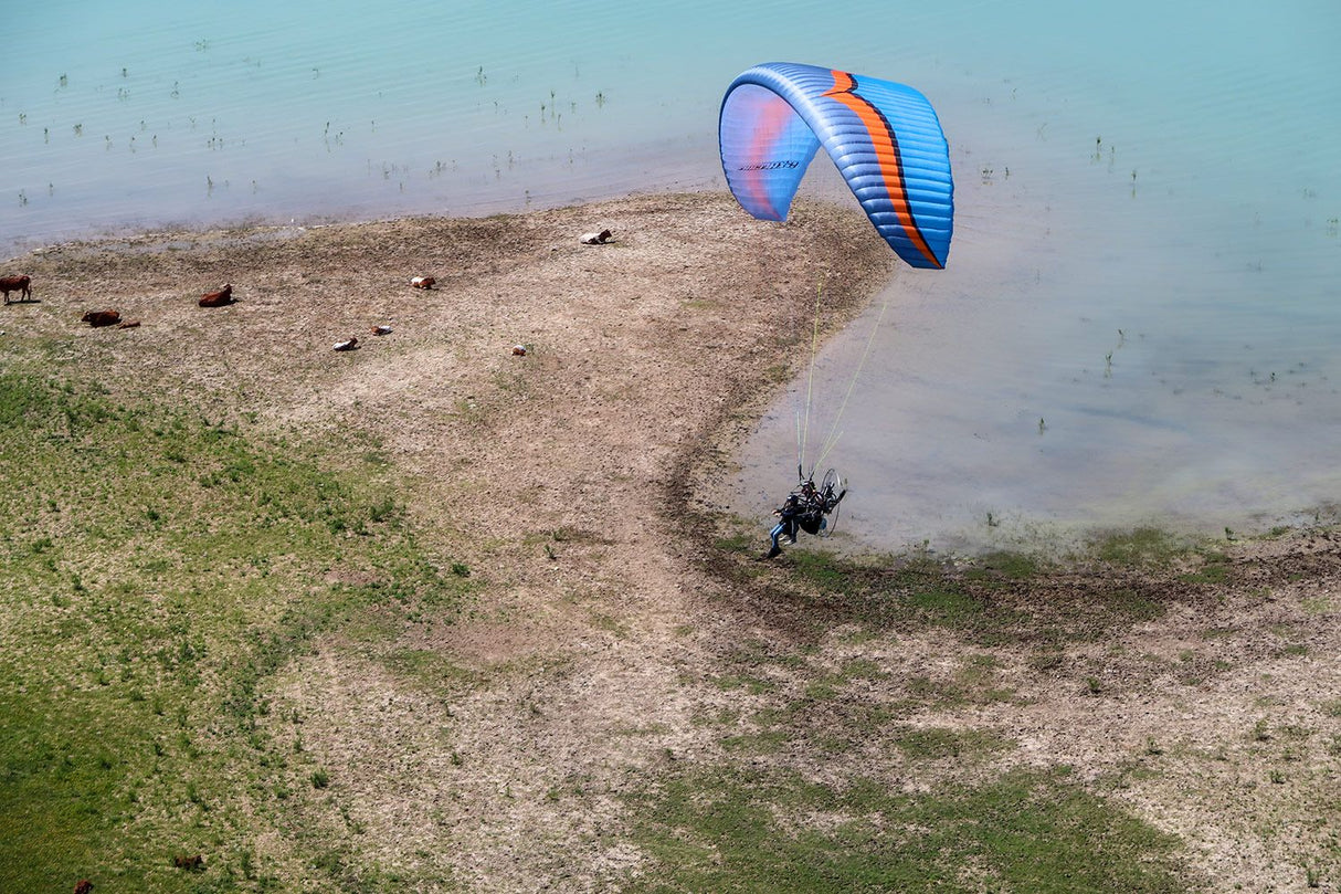 person paragliding over a beach shore
